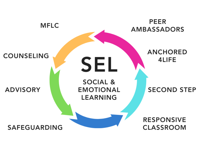 Student Support - Busan Foreign School